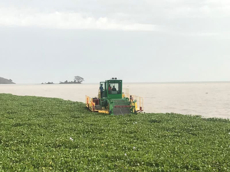 Nave per la pulizia automatica dell'acqua/Raccolta di alghe acquatiche/Barca per la raccolta dei rifiuti