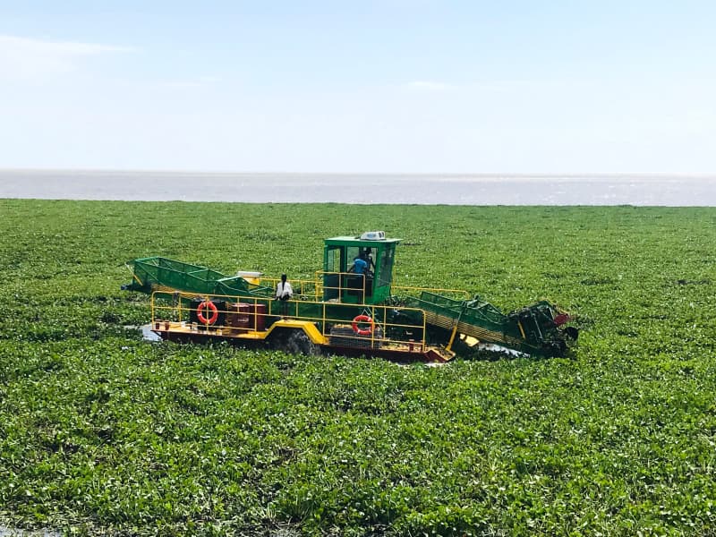 Nave per la pulizia automatica dell'acqua/Raccolta di alghe acquatiche/Barca per la raccolta dei rifiuti