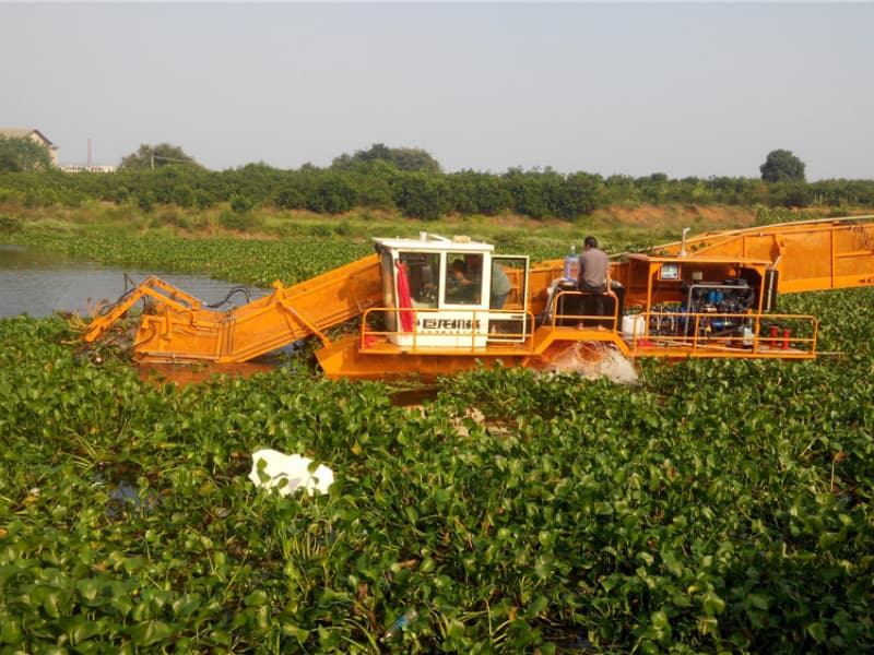 Nave per la pulizia automatica dell'acqua/Raccolta di alghe acquatiche/Barca per la raccolta dei rifiuti