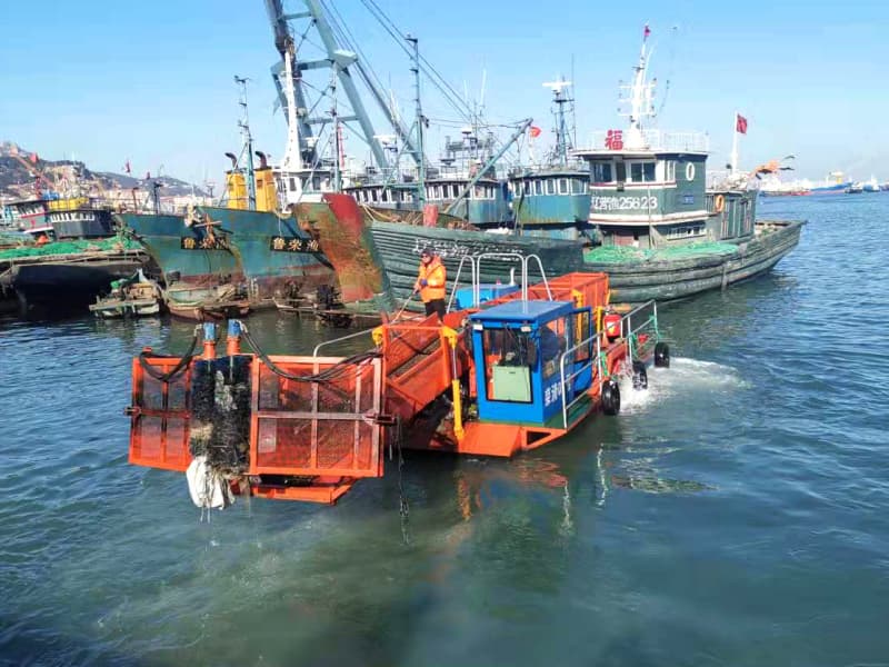 Nave per la pulizia automatica dell'acqua/Raccolta di alghe acquatiche/Barca per la raccolta dei rifiuti