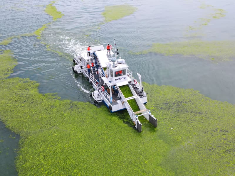Nave per la pulizia automatica dell'acqua/Raccolta di alghe acquatiche/Barca per la raccolta dei rifiuti