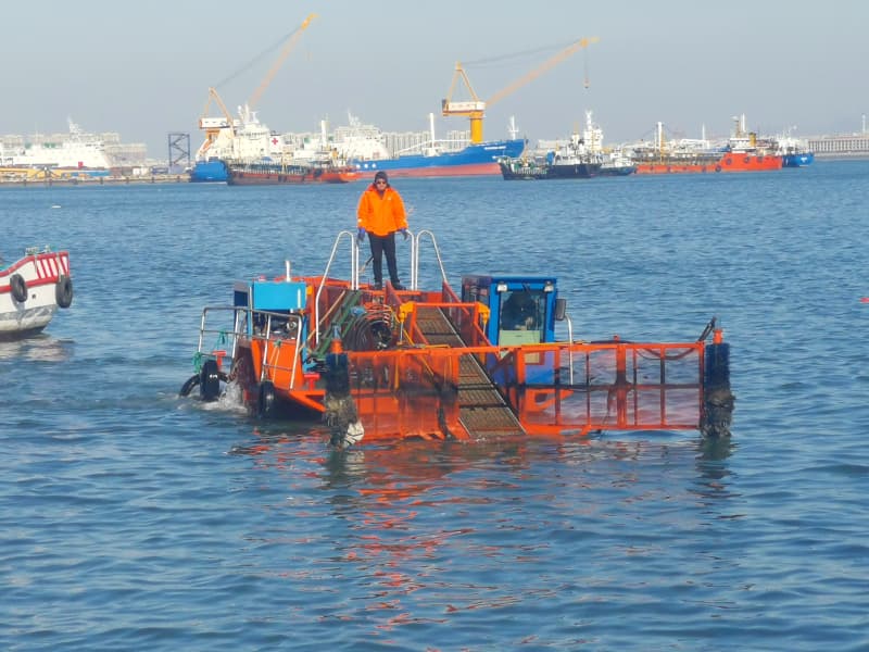 Nave per la pulizia automatica dell'acqua/Raccolta di alghe acquatiche/Barca per la raccolta dei rifiuti
