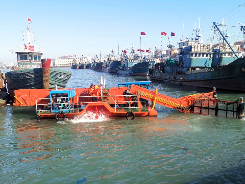 Nave per la pulizia automatica dell'acqua/Raccolta di alghe acquatiche/Barca per la raccolta dei rifiuti