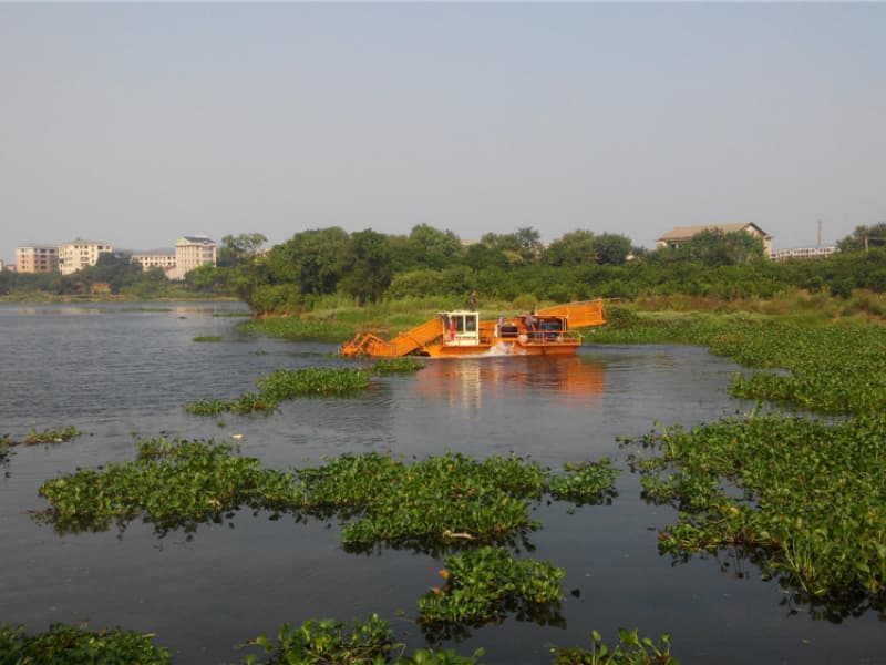 Nave per la pulizia automatica dell'acqua/Raccolta di alghe acquatiche/Barca per la raccolta dei rifiuti
