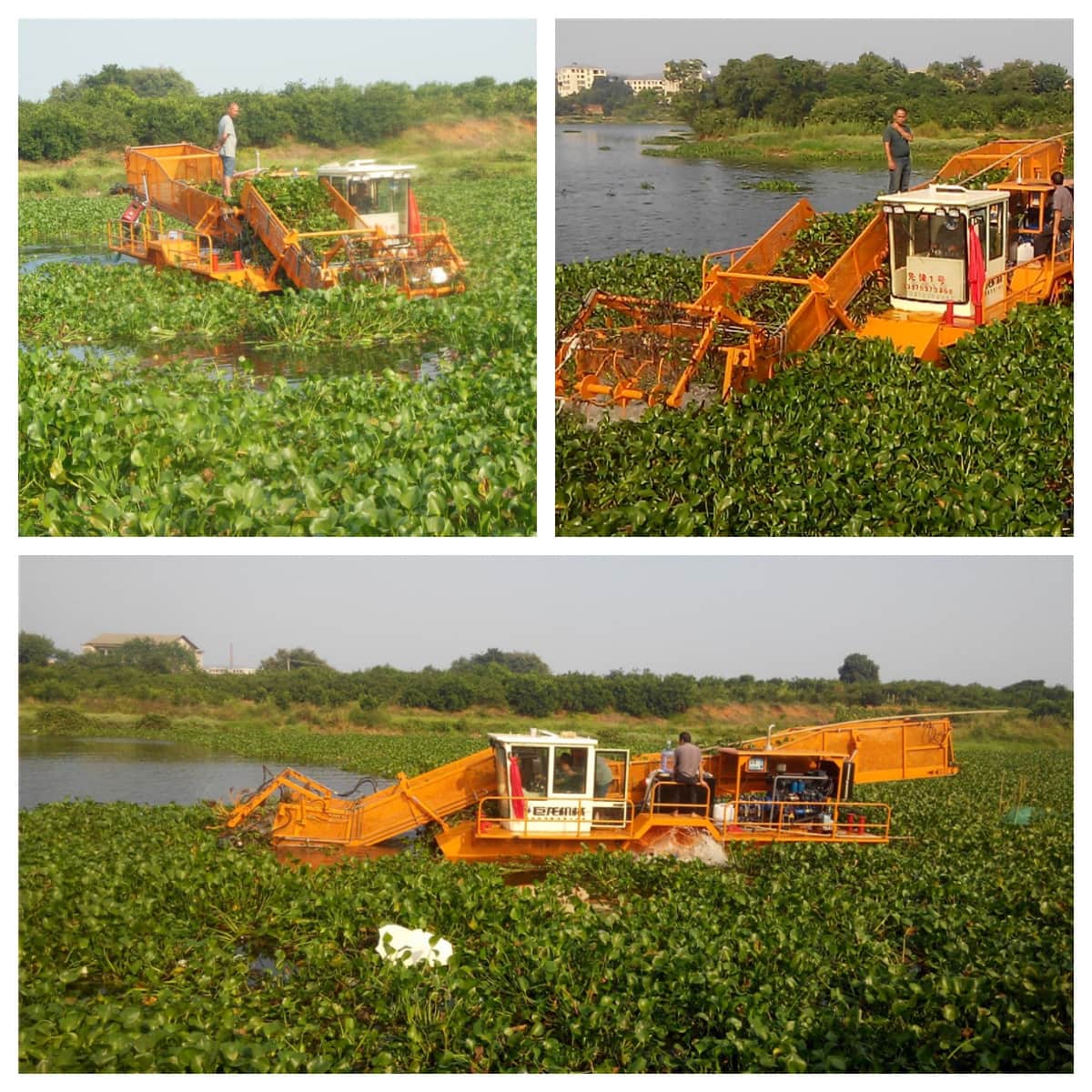 Automatic Water Cleaning Ship/ Aquatic Weed Harvester/Trash Skimmer Boat